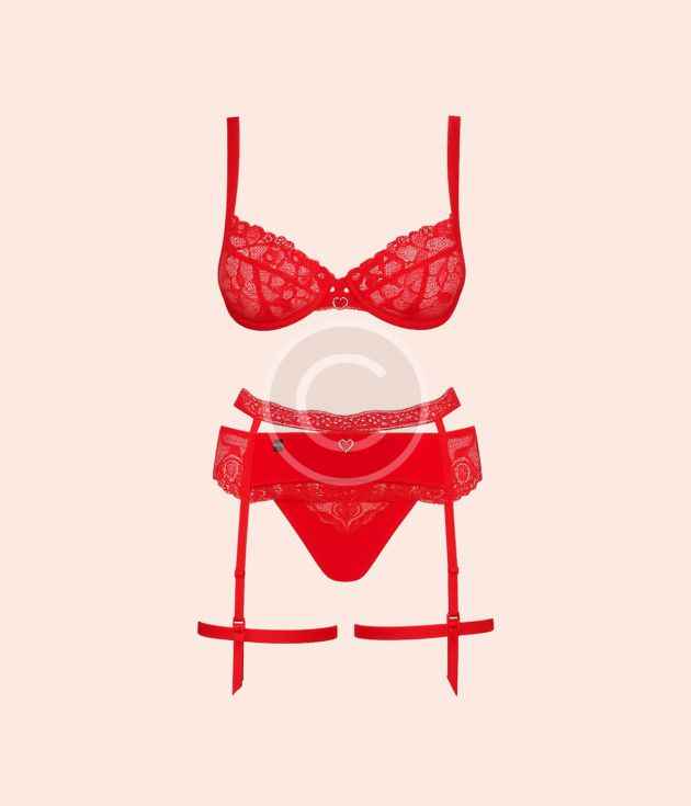 Scarlet lace garter set